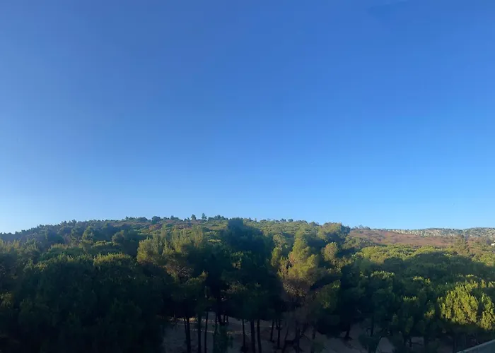 House Апартаменты